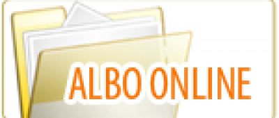 portfolio item name